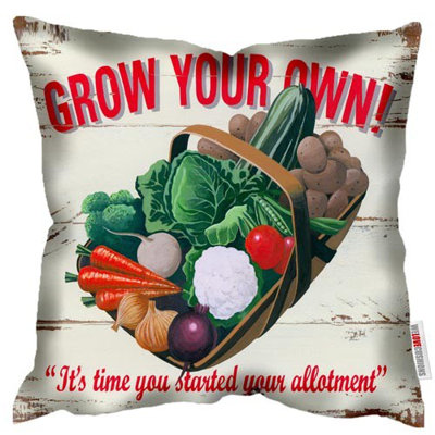 Dewberry Square Throw Cushion