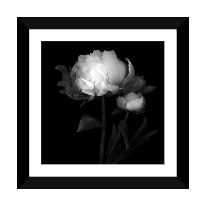 «Peony III, B&W» par Magda Indigo, impression sur toile, H 24 po x l 24 po x P 1 po, Papier avec cadre noir, Blanc