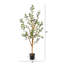 Olive artificielle en pot-1072381702