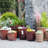 Flowerpot-1048047783