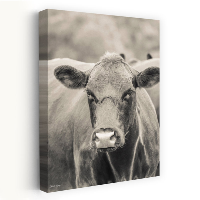 «Brown Cow Say Cheese», art contemporain, H 48 po x l 32 po