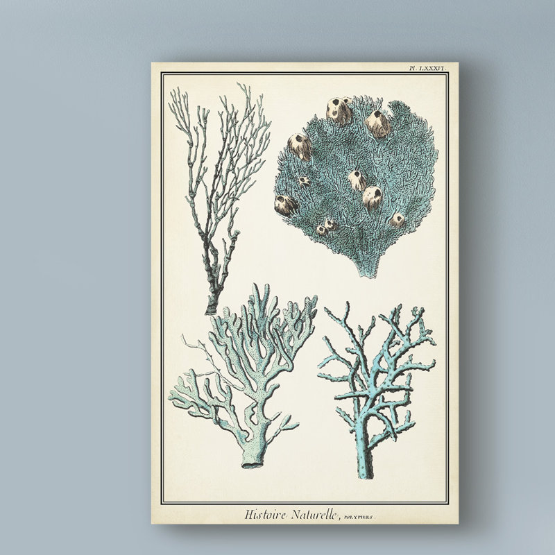 « surdimensionné corail especes ii », reproduction d’impression sur toile tendue, H 24 po x l 16 po x P 2 po