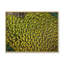 «Green Peacock Feathers II», reproduction d'art sur toile-872380146-872380104