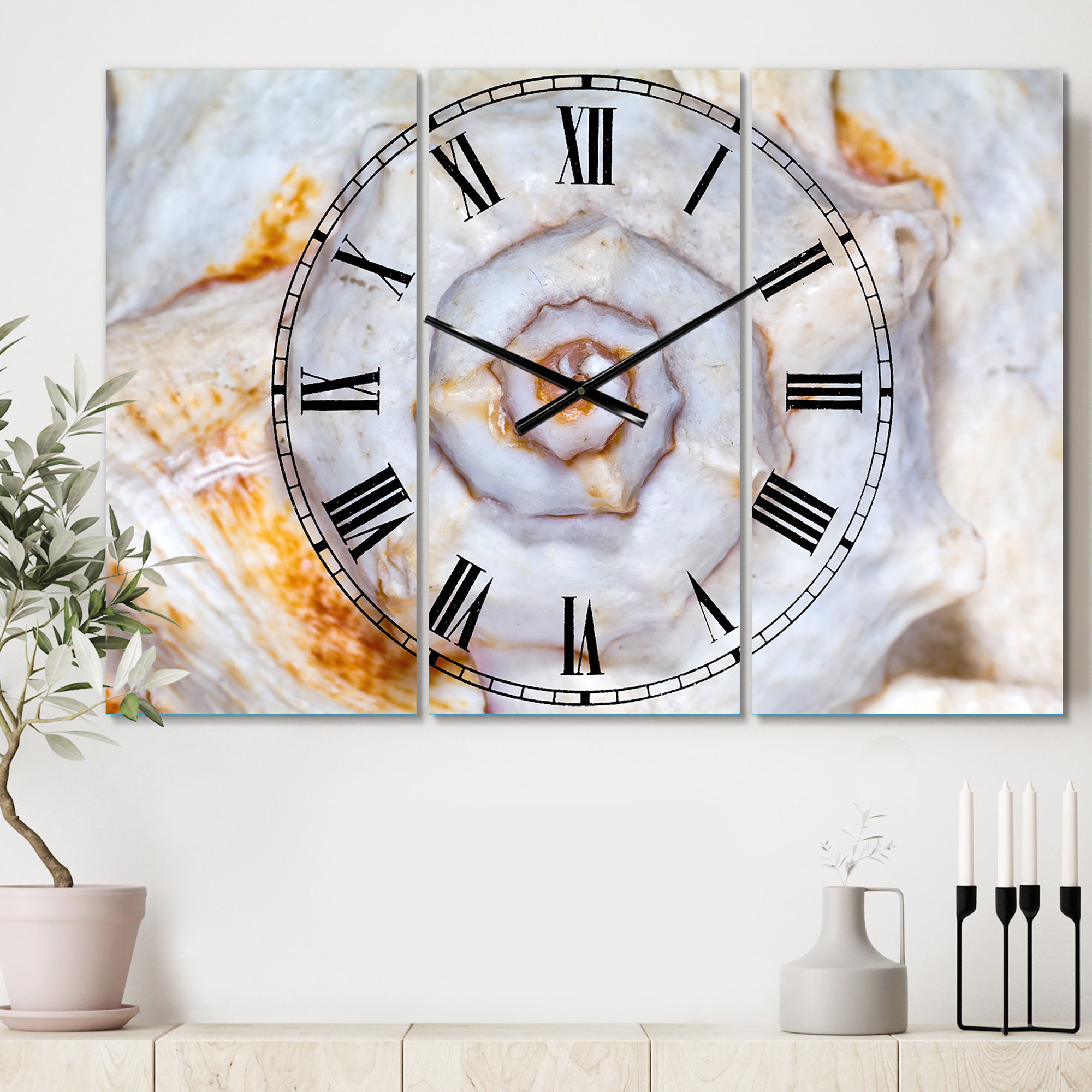 East Urban Home Great Skeleton of Sea Shell - Beach Style wall clock ...