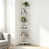 White est en rupture de stock