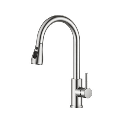 Belfry Kitchen Pull Down Kitchen Faucet