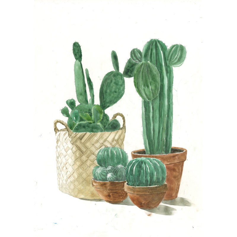 The Cactus III - Painting Print, Black Floater Framed, 122 cm H x 81 cm W