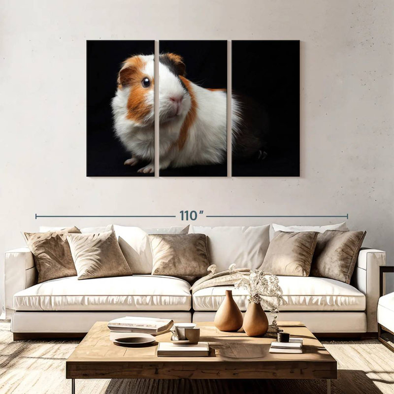 Guinea Pig