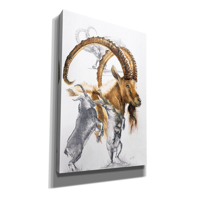 'Ibex' by Barbara Keith, Canvas Wall Art, 60" H x 40" W x 1.5" D