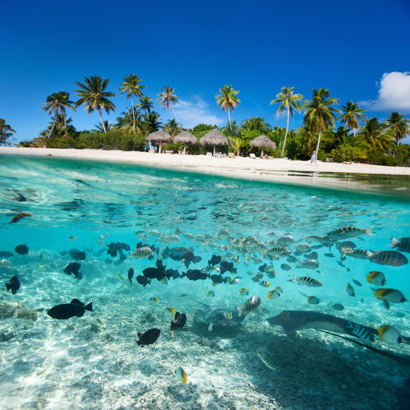 Tropical Island - Wrapped Canvas Print, 76cm H x 76cm W x 3.8cm D