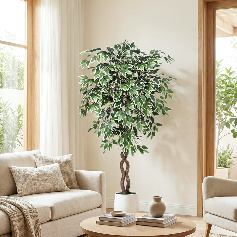 Ficus artificiel bordé de feuilles blanches panachées 5 pi 6 pi 7 pi avec pot à fleurs blanc réaliste pour décoration de bureau