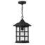 Lanterne suspendue d'extérieur à 1 ampoule H 14 po Freeport-1249365571-1249365575-1249365580