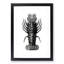 Lobster Illustrations by E.F. Jomard - Picture Frame Graphic Art Print-55761209-55761212
