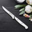 ZWILLING Pro Le Blanc 4.5-Inch Steak Knife