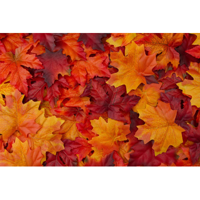 Barrecchia Autumn Leaves par - Photographie sur toile tendue