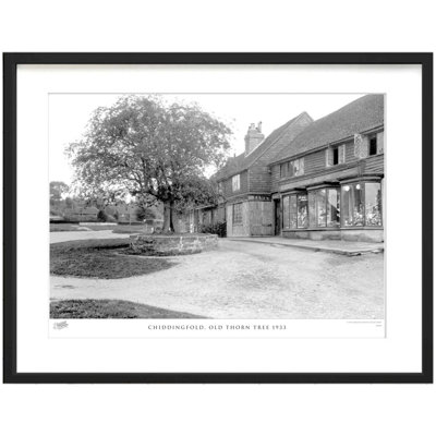Chiddingfold, Old Thorn Tree 1933 by Francis Frith - Single Picture Frame Print