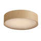 Jessalyn 5 Light LED Flush Mount