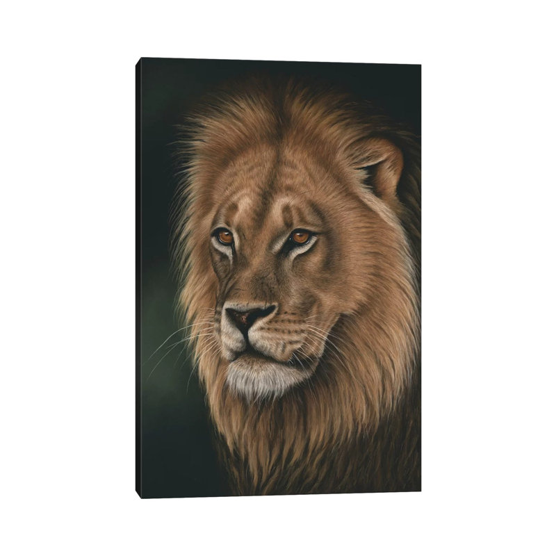 Lion Portrait by Richard Macwee - Gallery-Wrapped Canvas Giclée on Canvas, Wrapped Canvas, 20.32 cm H x 30.48 cm W