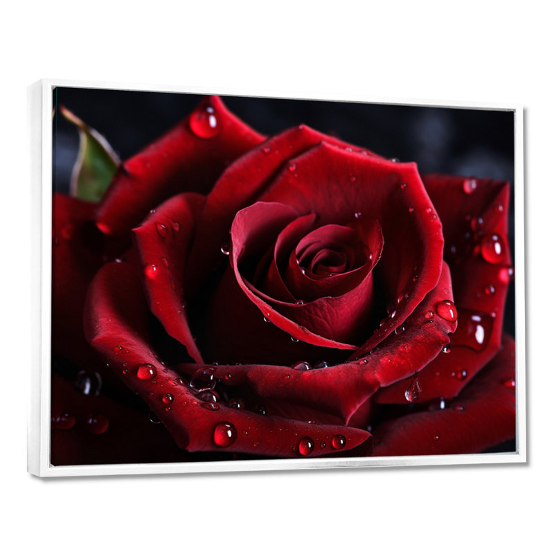 Rose rouge avec gouttes de pluie I - art mural floral encadré, H 30 po x l 40 po x P 1,5 po, Cadre flottant blanc
