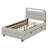 Twin Size Upholstered Platform Bed With LED Frame And 2 Drawers-110439757