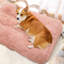 Coussin de siège pour animal de compagnie-863325952-863325966