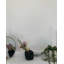 Kasten Handmade Stoneware Table Vase