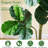 Artificial Fiddle Leaf Fig Tree In Pot For Home Office Décor