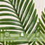 Faux plante Dypsis Lutescens-496066545
