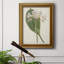 Antique Botanical Collection IV - reproduction d'art sur toile encadrée-1327999095