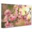 Cherry Blossom Flowers - Wrapped Canvas-61848450