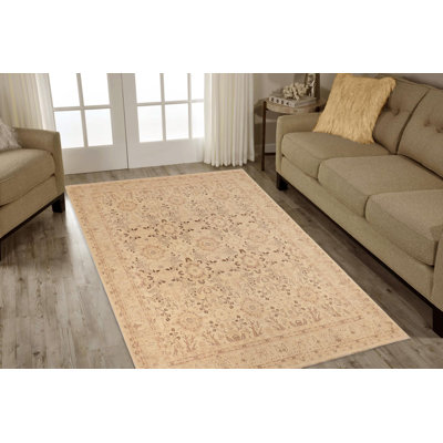 Baccio Wool Oriental Indoor Rug