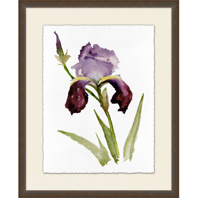 Iris 1 Print