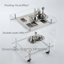 Structure en acier inoxydable, chariot mobile en acrylique transparent, table basse et support de rangement