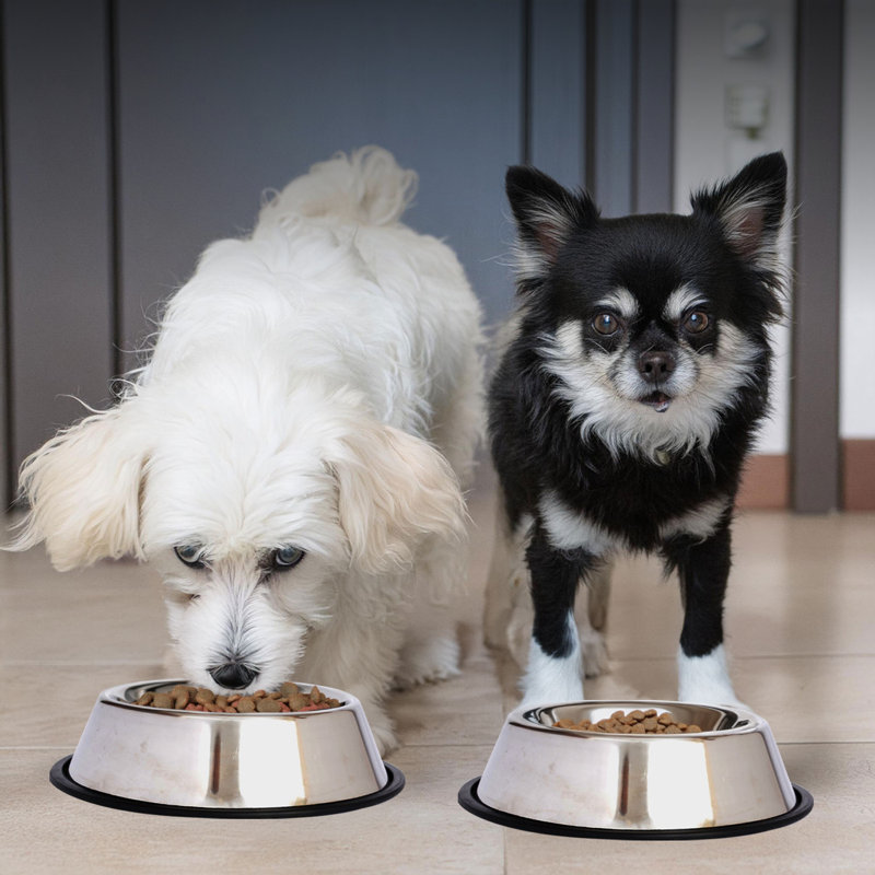 16 oz Stainless Steel Non-Skid Pet Bowl
