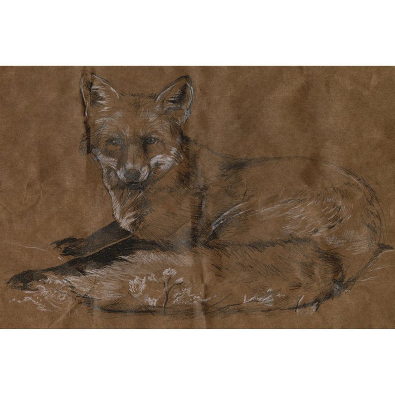 «Layli Crafty Fox II on Canvas» par Jennifer Paxton Parker, reproduction, H 8 po x l 12 po