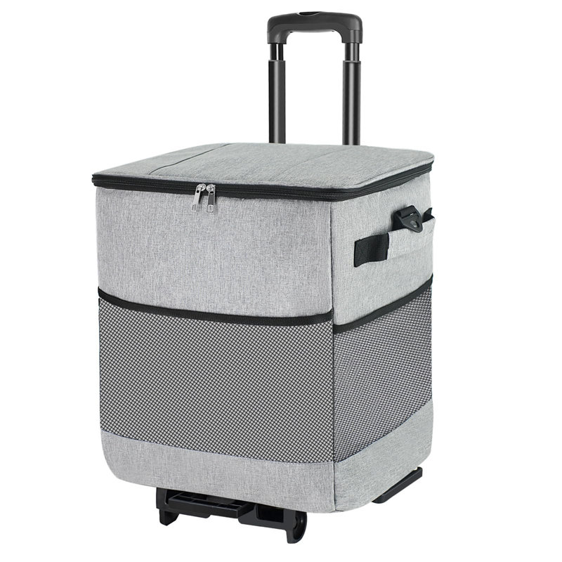 Ebern Designs 40L Picnic Tote Bag Cooler with wheels in Grey