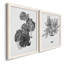 B and W d'intérieur plante III - ensemble de 2 reproductions d'art-1074236537-1074236536-1090214440