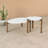 Jernya Coffee Table-662756525