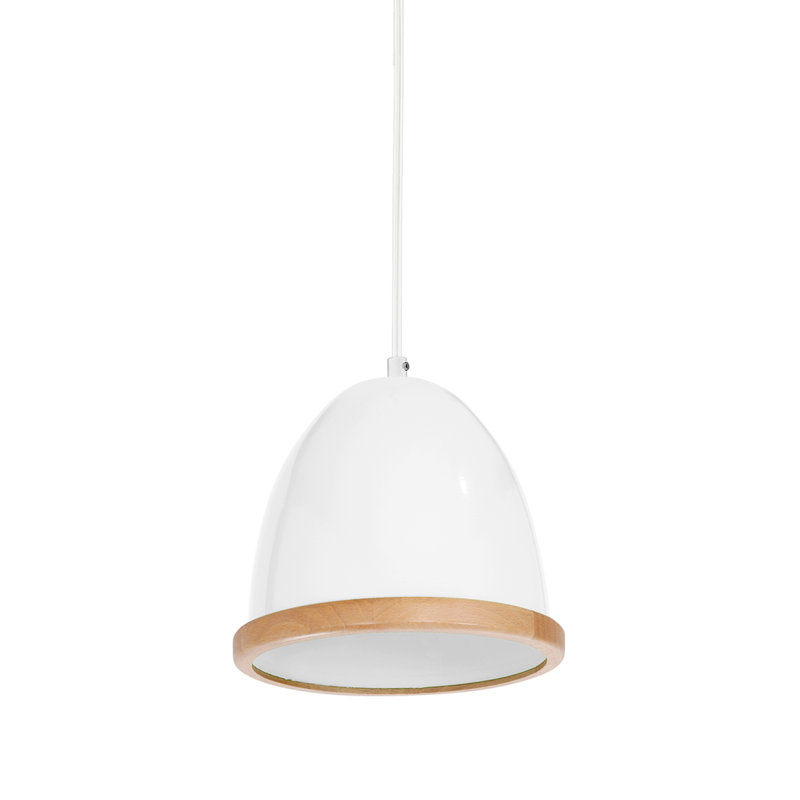 Bridget 1 - Light Dome Pendant, White, White