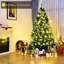 Sapin de Noël vert Douglas-337651270