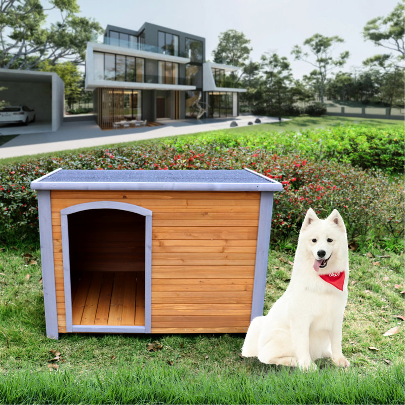 Cabane pour chien en bois massif pour grandes canines -, système de construction à base surélevée stable