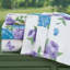  Ensemble de valises pour chambre d'amis-343398495-343398432