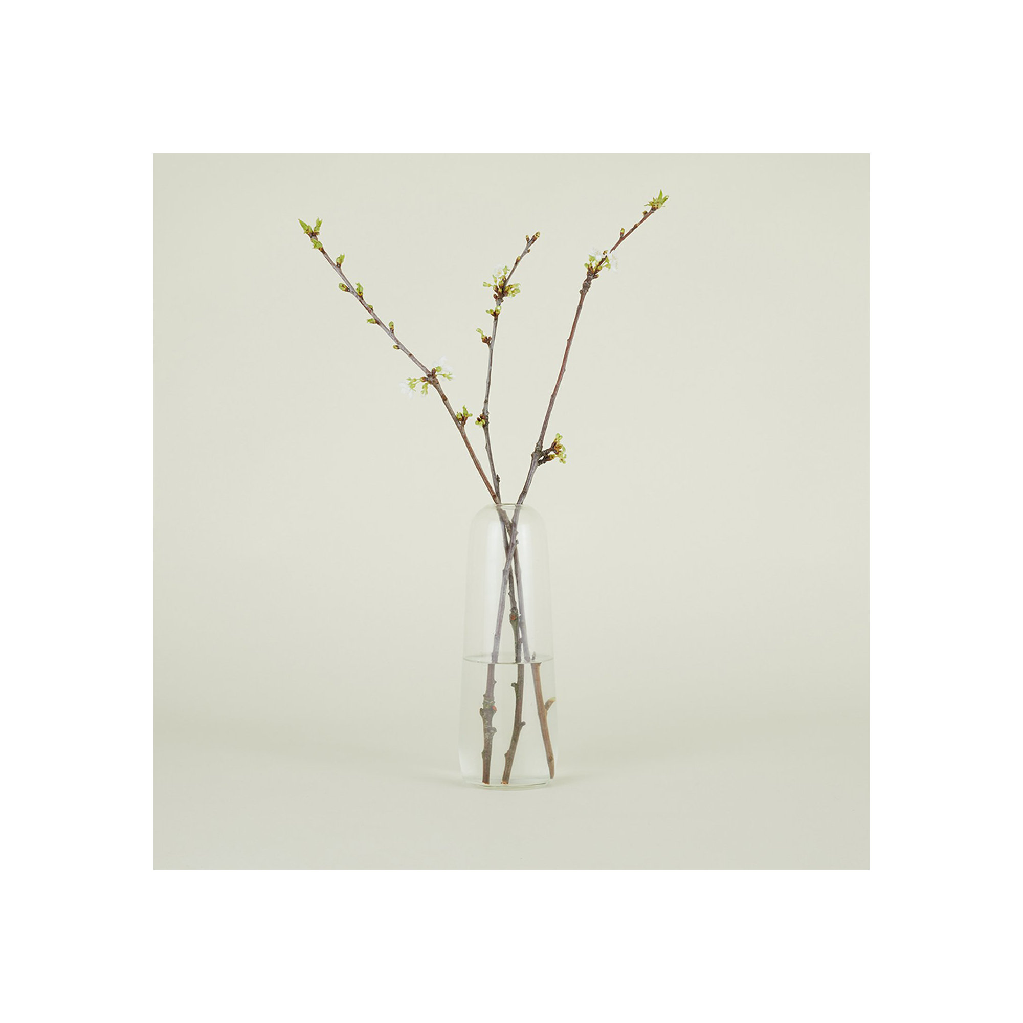 Aurora Handmade Glass Table Vase, 11.5" H x 4" W x 4" D, Clear