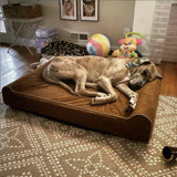 Orthopedic Polyester Pet Bed