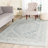 Olius Performance Oriental Rug-1719964877