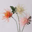 Tige de chrysanthème Firework Spider - 28,3 po-1370225368-1370225365