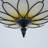 42'' Ceiling Fan With Led Lights