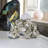 Elantra Landscape & Nature Crystal