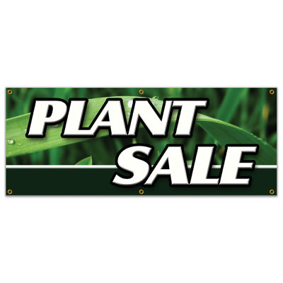 PLANTES VENTE BANQUE Signe fleurs fleuriste aménagement paysager buissons