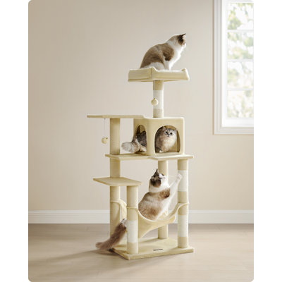 56'' Multi-Level Cat Condo